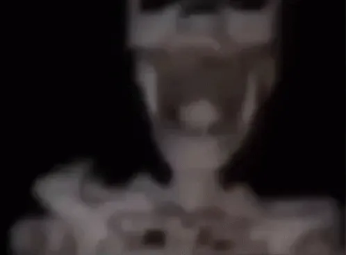 skull